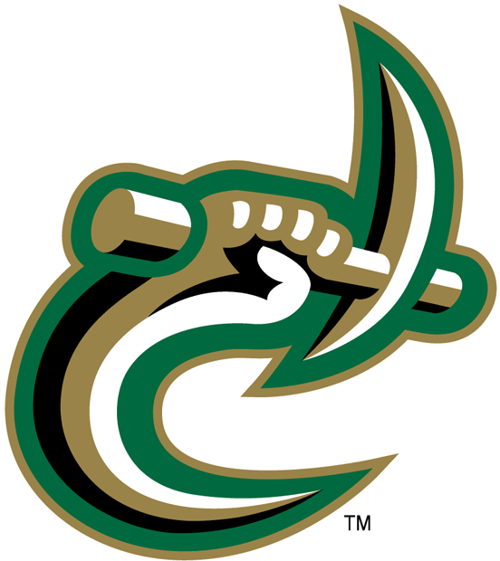 Charlotte 49ers 1998-Pres Secondary Logo diy DTF decal sticker